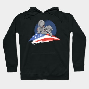 4th of July | Independence Day Hoodie